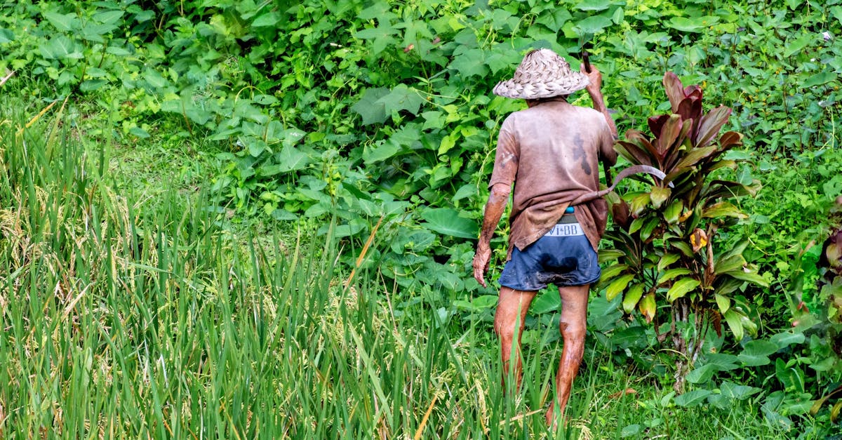 Filières écologiques : Comment promouvoir une agriculture durable et responsable