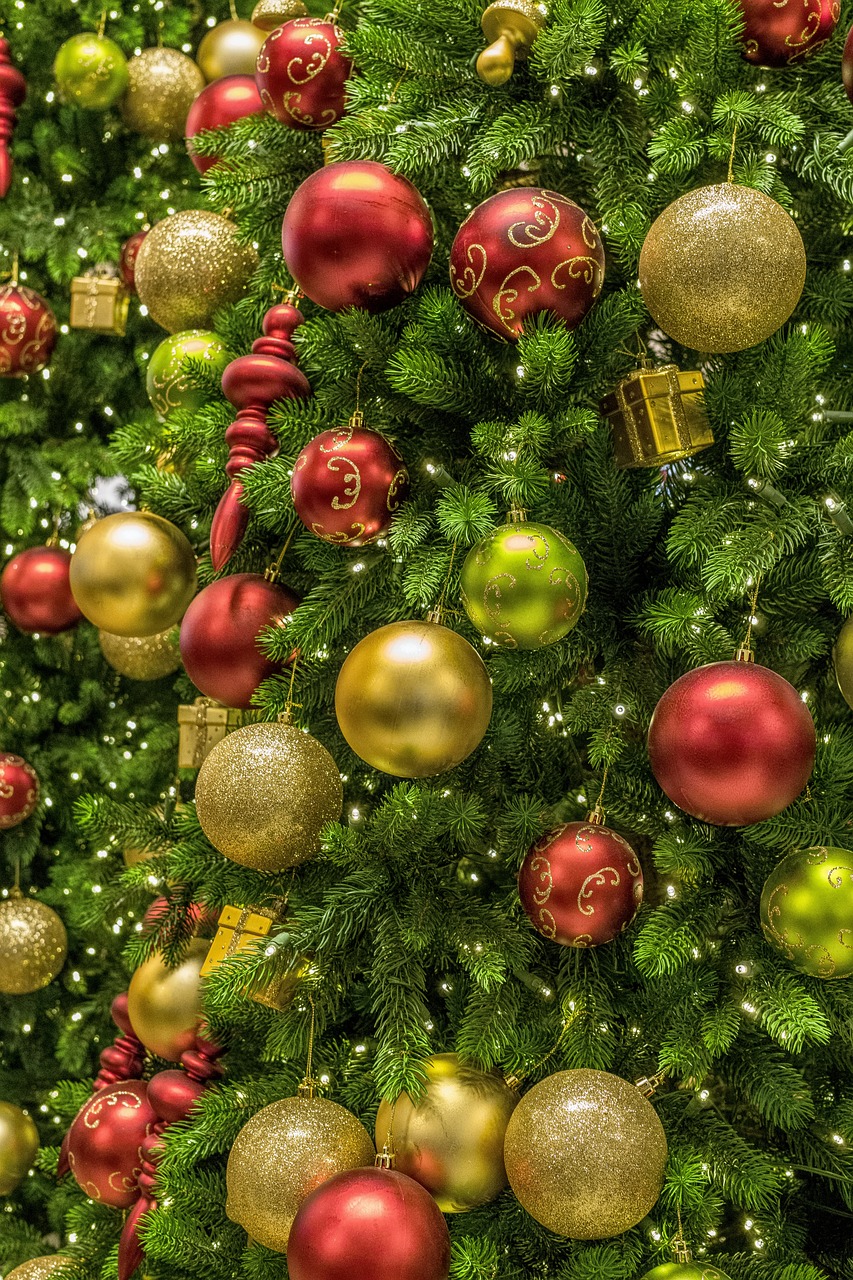 Noël : choisir entre un sapin naturel ou en plastique pour une option éco-responsable