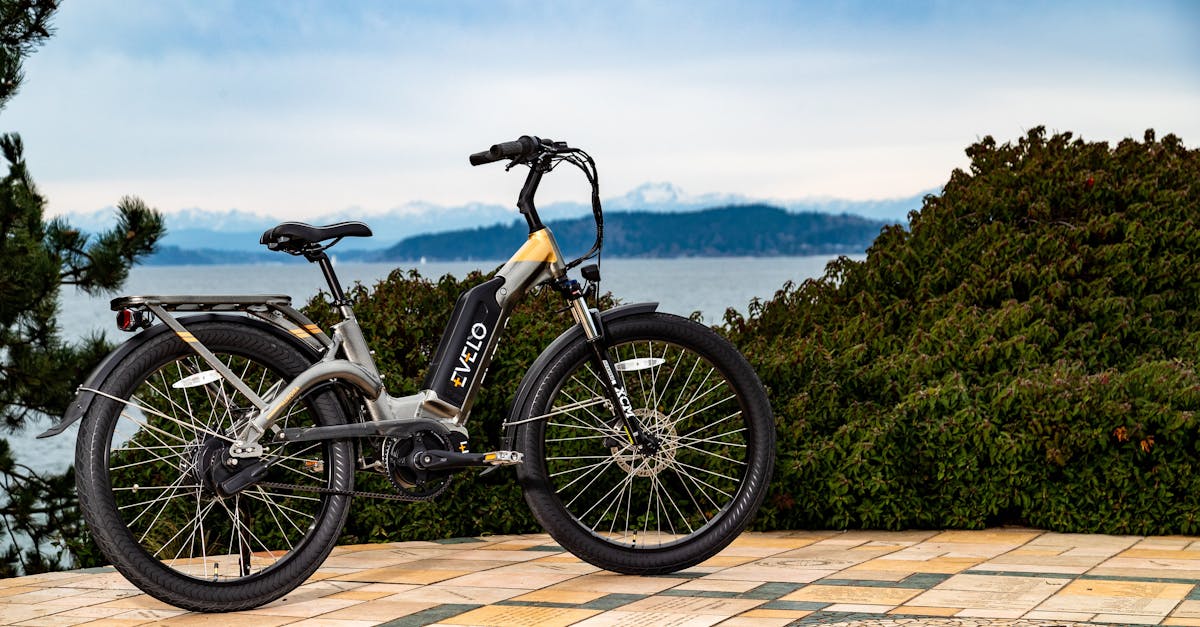 Routes vertes : un avenir durable pour la mobilité écologique