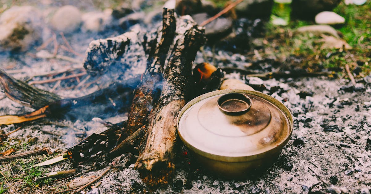 Chauffage écologique : solutions durables pour un confort optimal