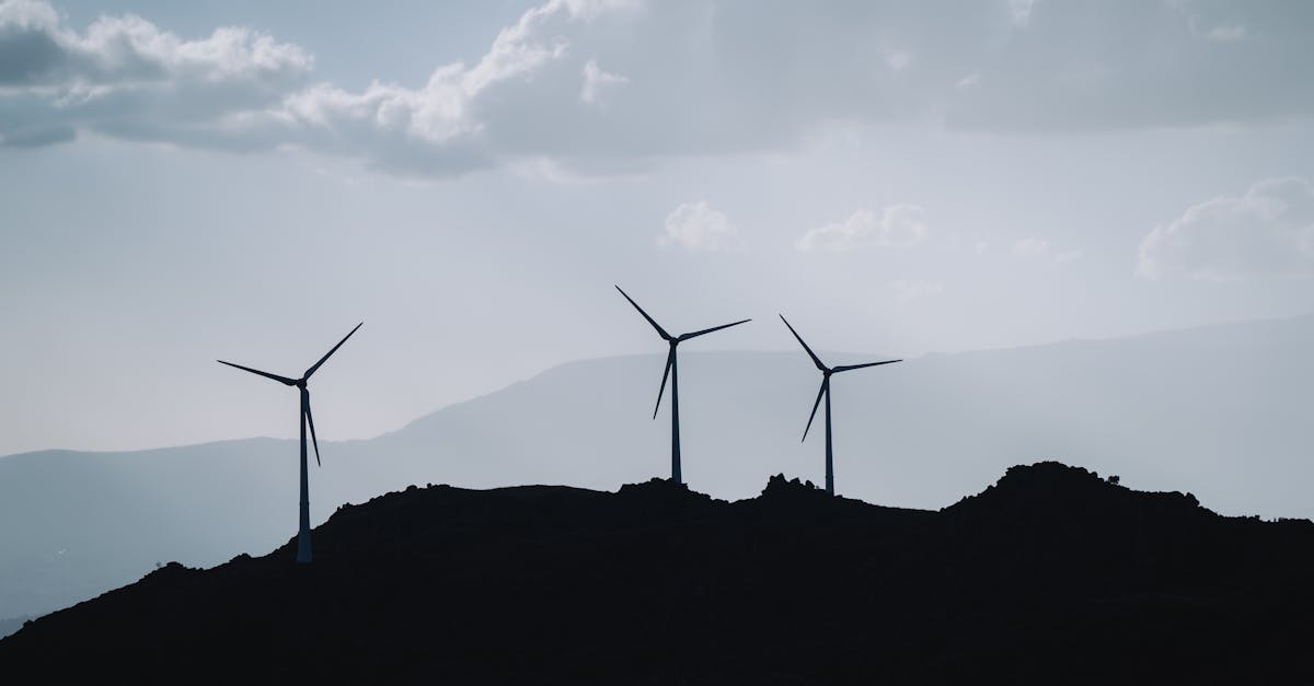Politiques environnementales : enjeux et perspectives pour un avenir durable