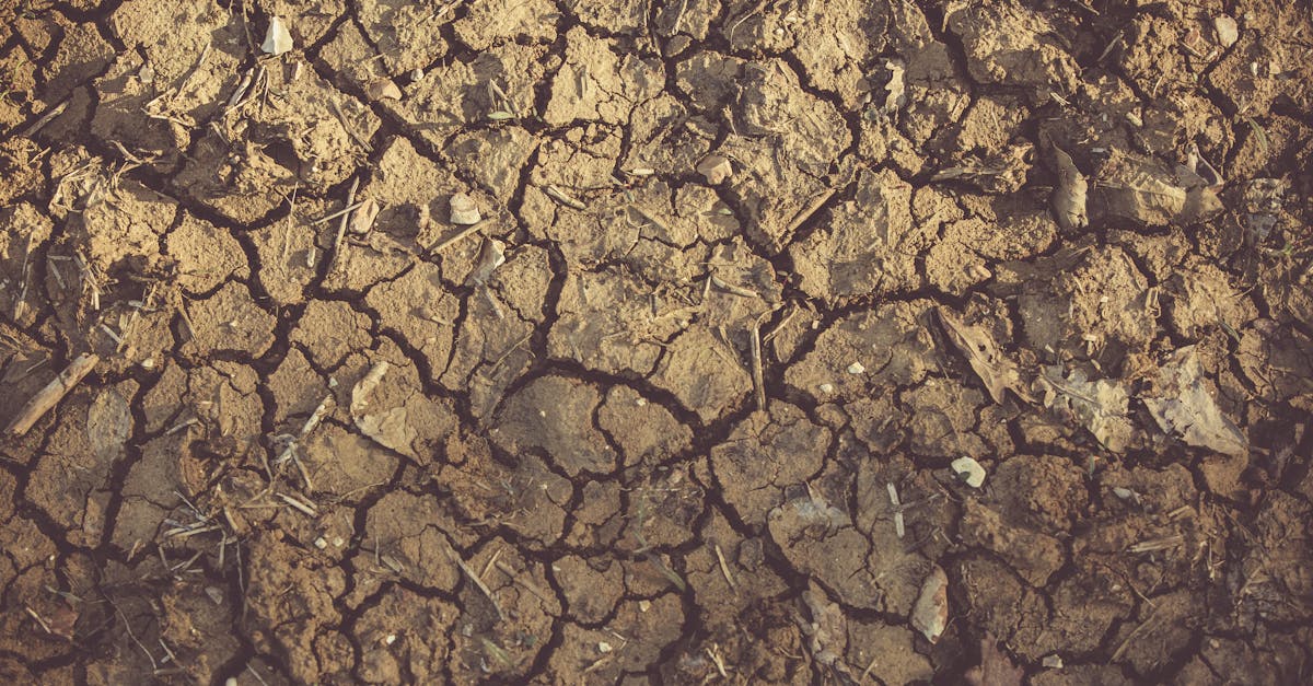 Lutte contre la sécheresse : des solutions innovantes pour préserver nos ressources en eau
