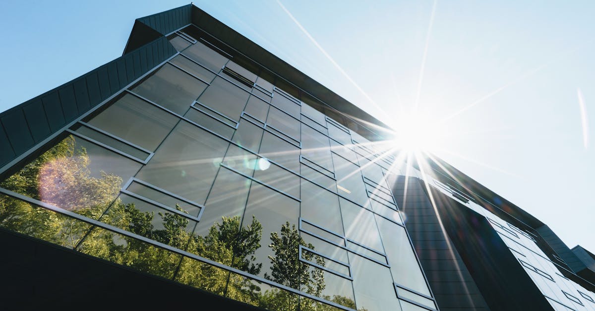 Technologies vertes : Comment elles transforment notre avenir durable