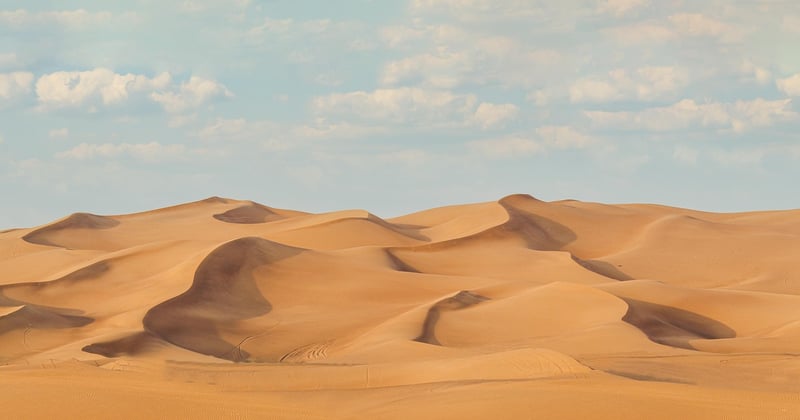 Unis pour un contrôle efficace du climat : agir ensemble dans l'habitat