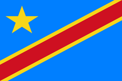 Forêts du Congo : quand les poumons verts de l’Afrique deviennent sources de carbone