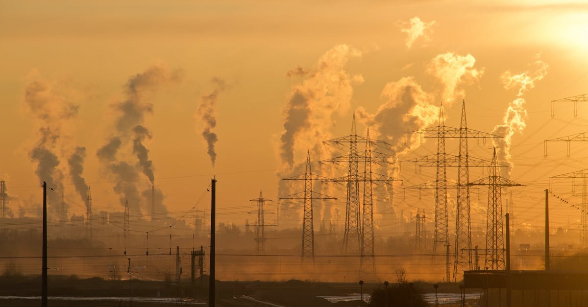 Réchauffement climatique : Comprendre ses impacts sur notre planète
