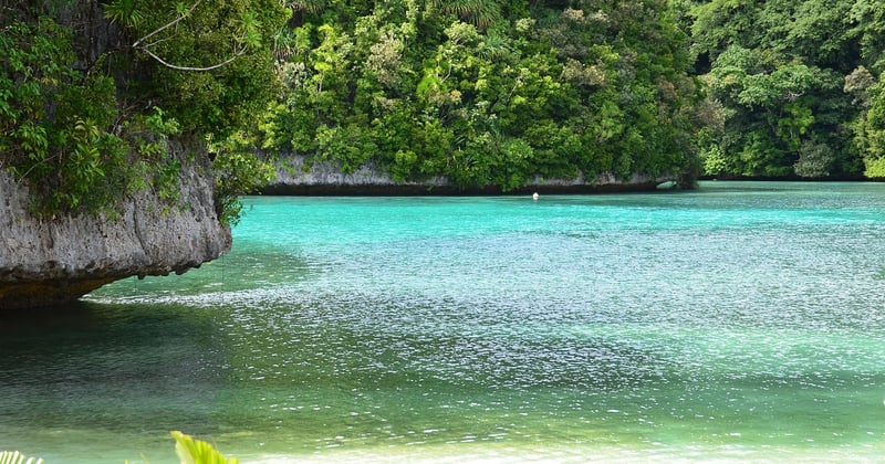 L'impact du réchauffement climatique sur la biodiversité marine menace nos océans