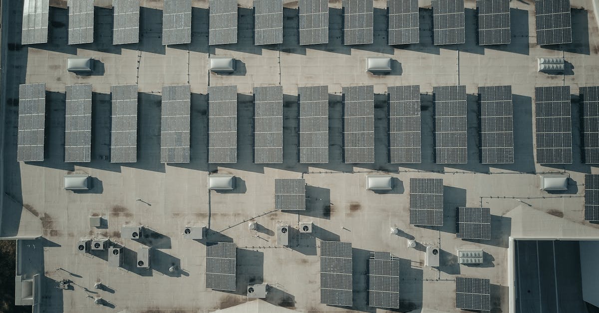 Impact social et environnemental : comprendre les enjeux pour un avenir durable