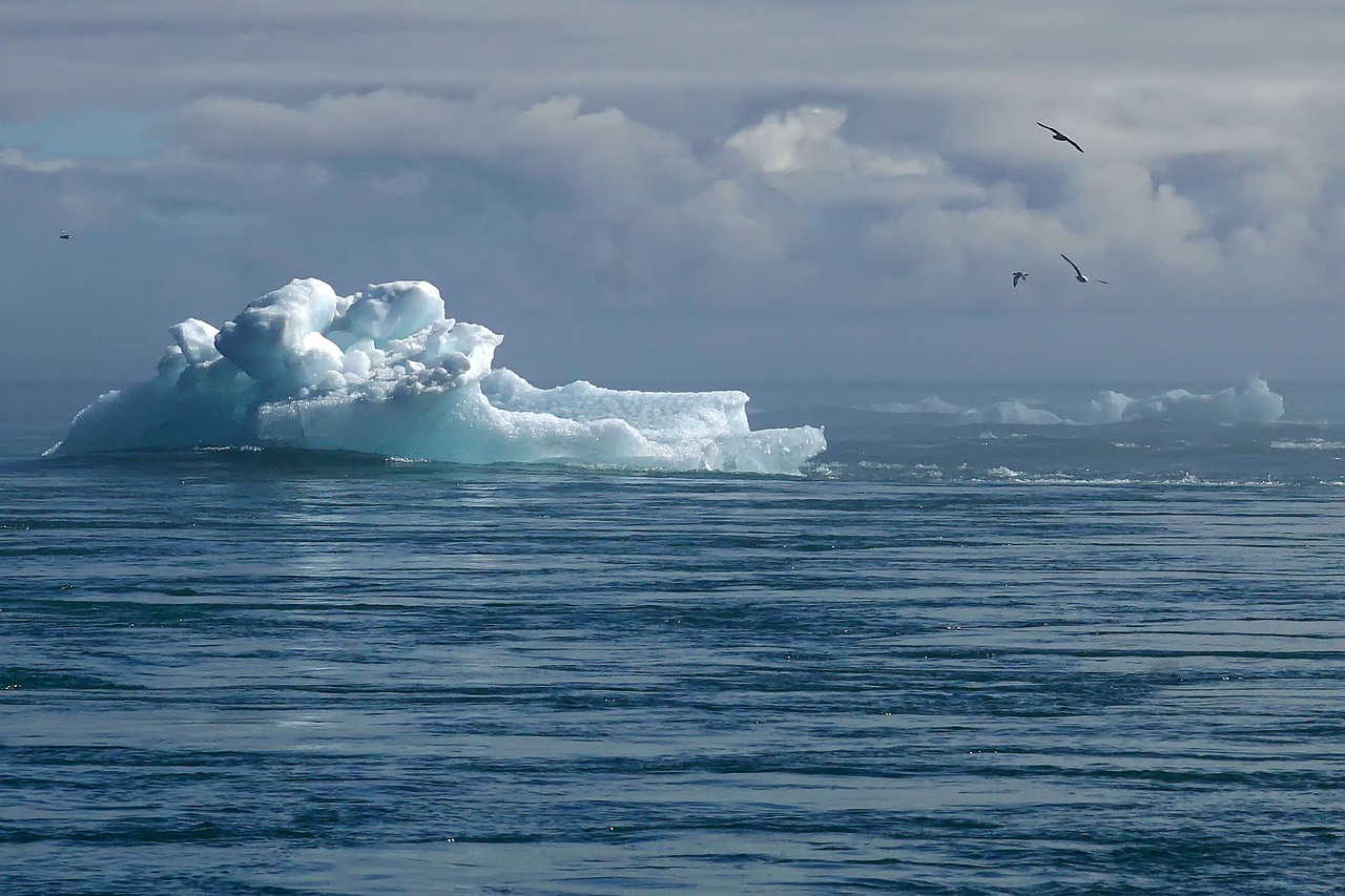 Bilan 2024 : Les avancées de la lutte contre le changement climatique de Bakou à Belém