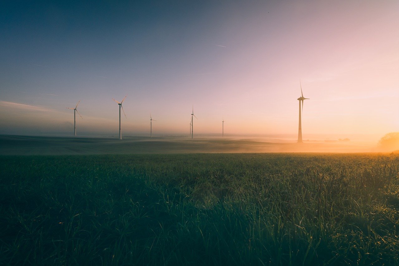 découvrez les enjeux de la transition écologique et les solutions durables pour un avenir respectueux de l'environnement. explorez les initiatives innovantes, les pratiques éco-responsables et les politiques publiques qui favorisent une transformation vers une société plus verte et responsable.