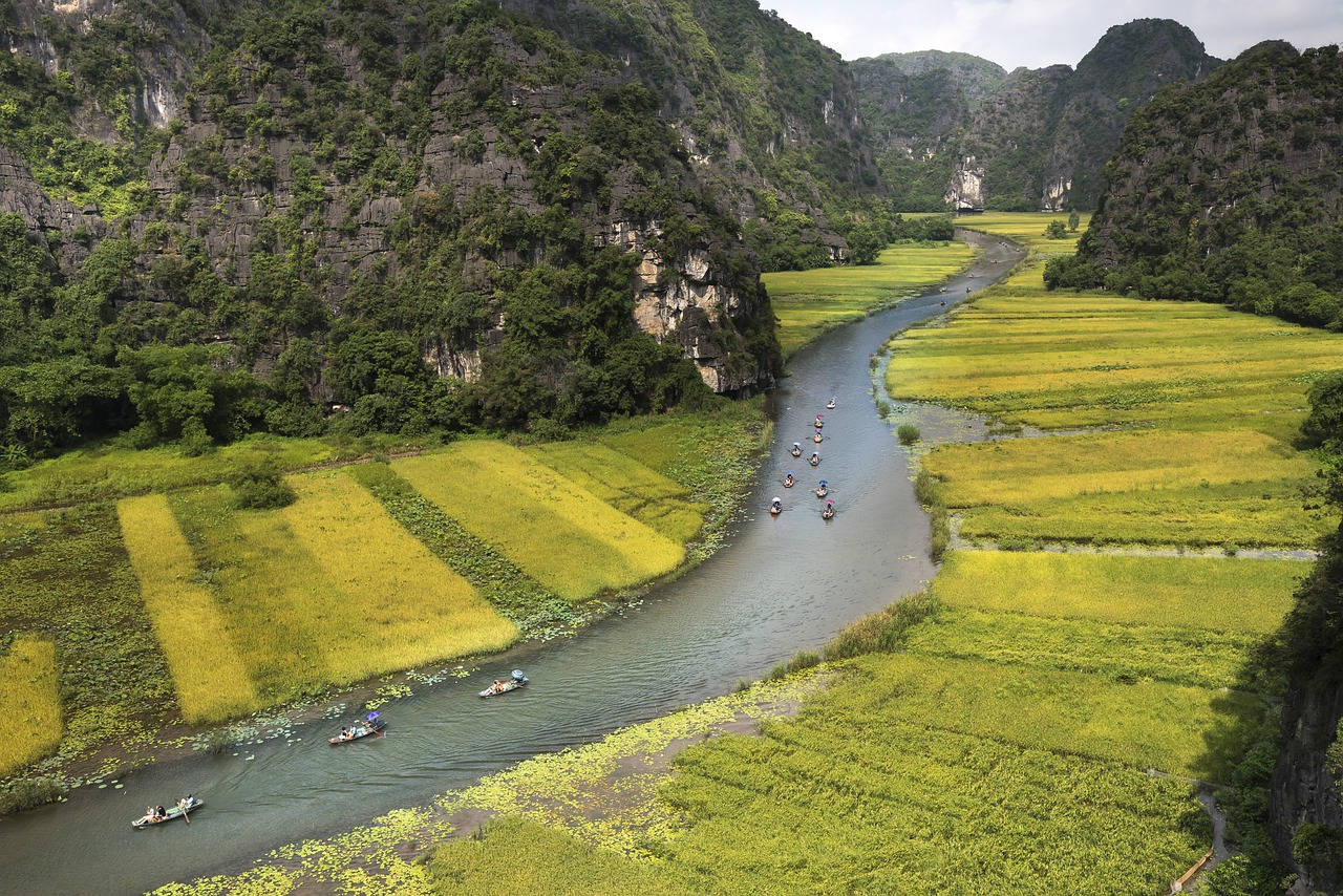 découvrez le rôle essentiel des ong dans la société moderne, leur impact sur les droits humains, l'environnement, et le développement durable. informez-vous sur les meilleures pratiques pour soutenir et collaborer avec ces organisations au service du bien commun.