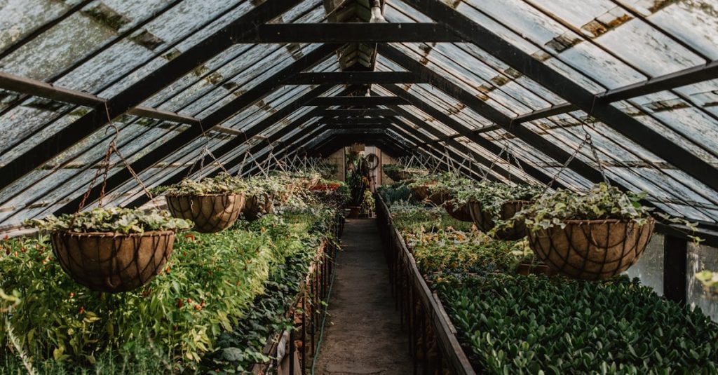 découvrez les principes de l'agriculture régénératrice, une approche innovante qui vise à restaurer la santé des sols, favoriser la biodiversité et assurer une production durable tout en luttant contre le changement climatique.
