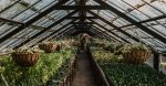découvrez les principes de l'agriculture régénératrice, une approche innovante qui vise à restaurer la santé des sols, favoriser la biodiversité et assurer une production durable tout en luttant contre le changement climatique.