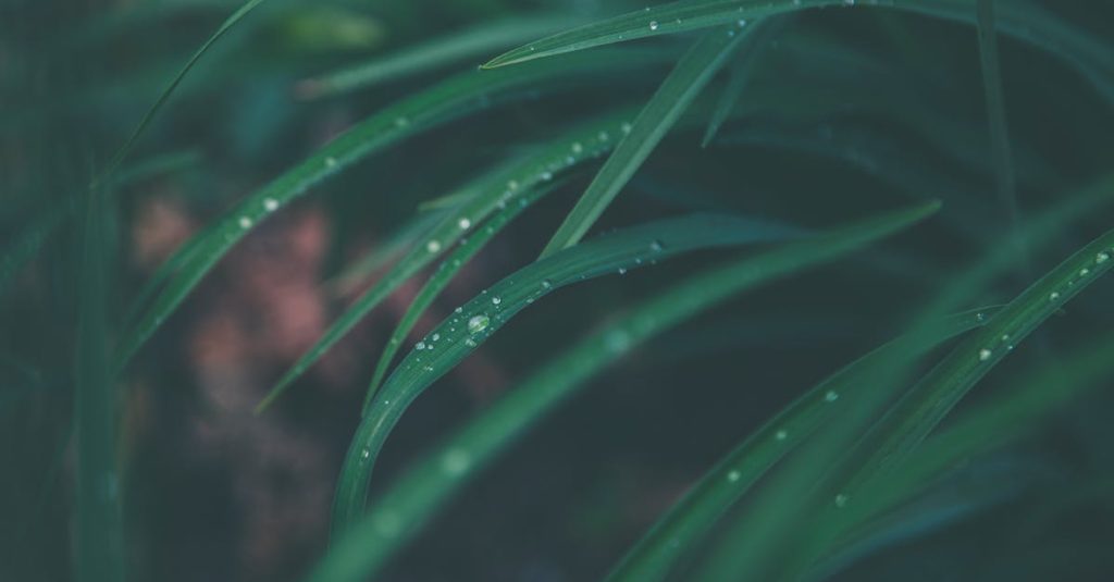 découvrez les avancées et les technologies de capture du carbone, une solution essentielle pour lutter contre le changement climatique et réduire les émissions de co2 dans l'atmosphère.