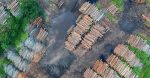 la déforestation est un processus de destruction des forêts, entraînant des conséquences dévastatrices pour la biodiversité, le climat et les communautés humaines. découvrez les causes, les impacts et les solutions pour préserver nos forêts.