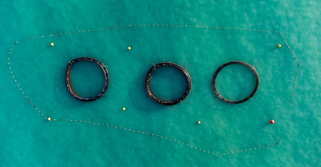 découvrez les meilleures pratiques de gestion des ressources naturelles pour préserver notre environnement. apprenez à optimiser l'utilisation des ressources tout en assurant la durabilité et la protection des écosystèmes.