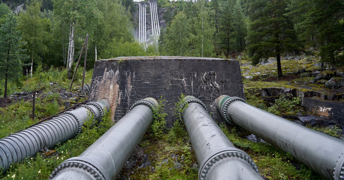 découvrez l'hydroélectricité, une source d'énergie renouvelable essentielle. apprenez comment elle fonctionne, ses avantages pour l'environnement et son rôle croissant dans la transition énergétique.