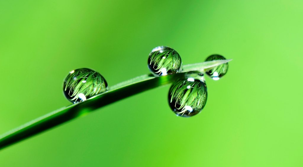 découvrez comment les subventions écologiques soutiennent les initiatives durables et encouragent la transition vers une économie verte. explorez les avantages et les opportunités offertes par les aides financières pour les projets respectueux de l'environnement.