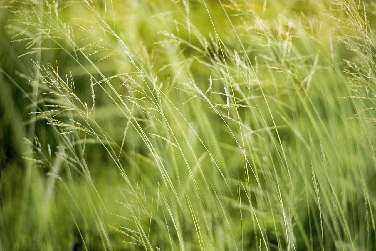 découvrez notre engagement environnemental : des initiatives durables pour protéger notre planète, réduire notre empreinte carbone et promouvoir des pratiques éco-responsables. engagez-vous avec nous pour un avenir plus vert.