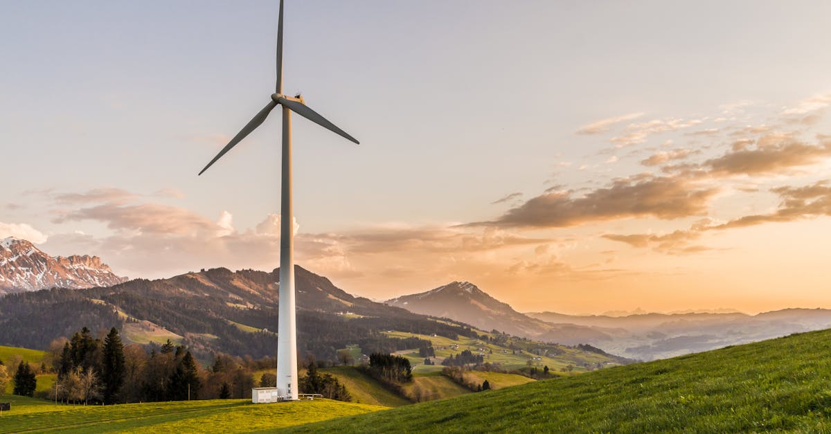 découvrez les enjeux et les stratégies de la neutralité carbone, un objectif essentiel pour lutter contre le changement climatique et réduire notre empreinte écologique. apprenez comment les entreprises et les gouvernements s'engagent pour un avenir durable et responsable.