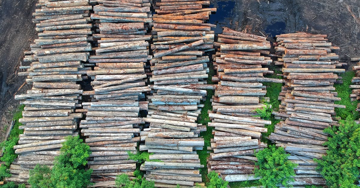 découvrez des stratégies efficaces et innovantes pour la préservation des ressources naturelles. apprenez comment protéger l'environnement tout en garantissant un développement durable pour les générations futures.