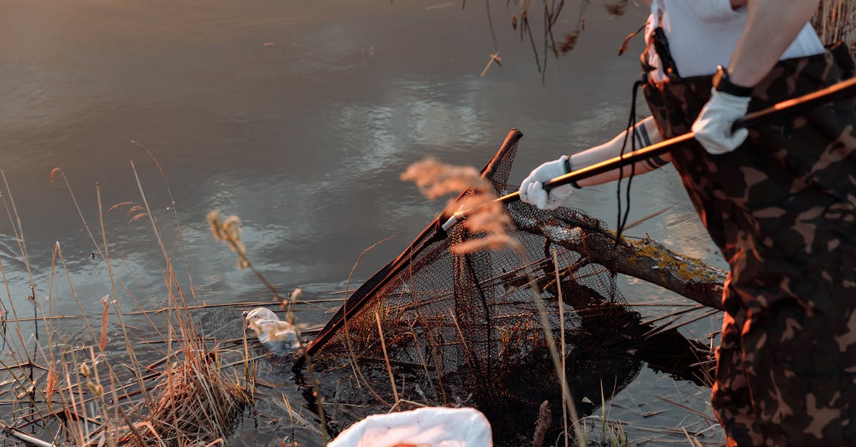 découvrez des solutions innovantes et durables pour la restauration des habitats naturels. apprenez comment préserver la biodiversité et revitaliser les écosystèmes grâce à des pratiques de conservation efficaces.