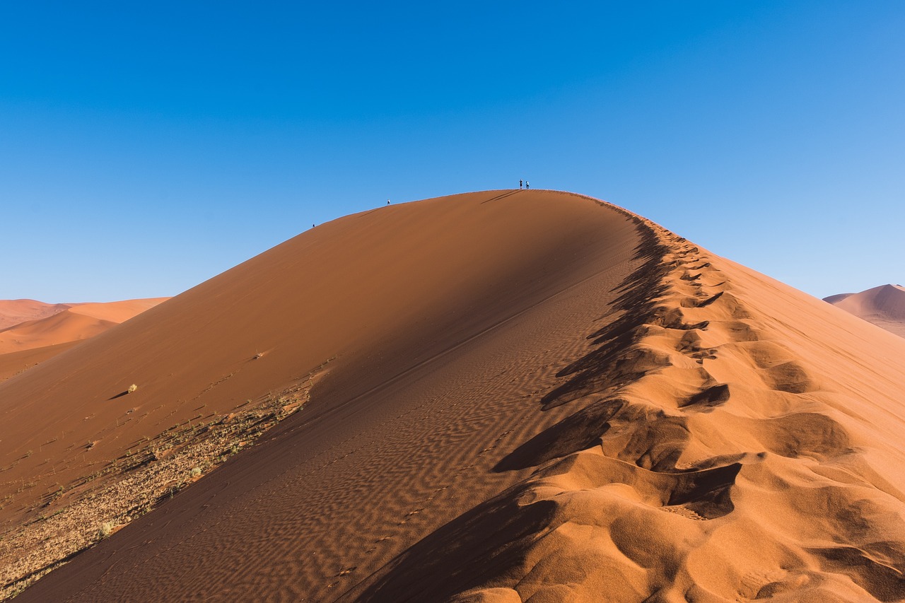 découvrez notre plan climatique novateur visant à lutter contre le changement climatique, à promouvoir des énergies durables et à préserver l'environnement pour les générations futures.