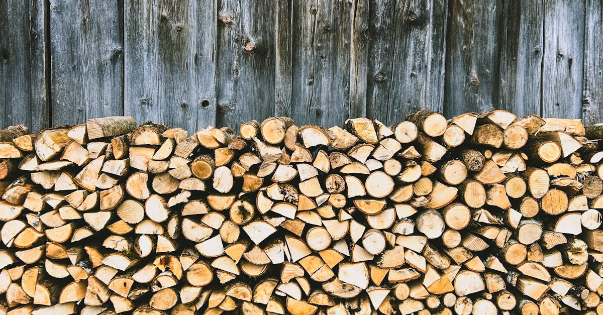 découvrez des solutions de chauffage écologiques, durables et efficaces pour réduire votre empreinte carbone tout en maintenant votre confort à la maison. optez pour un chauffage respectueux de l'environnement et participez à la transition énergétique !