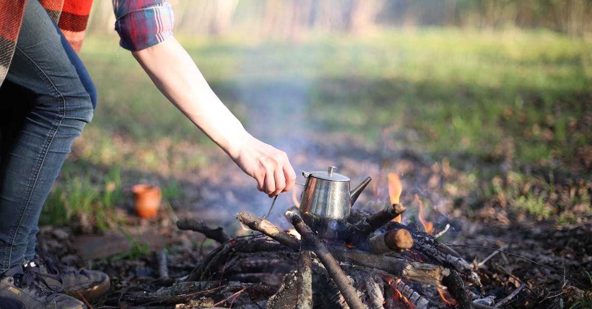 découvrez des solutions de chauffage écologiques qui allient confort et respect de l'environnement. optez pour des systèmes énergétiquement efficaces et durables pour réduire votre empreinte carbone tout en chauffant votre maison de manière optimale.