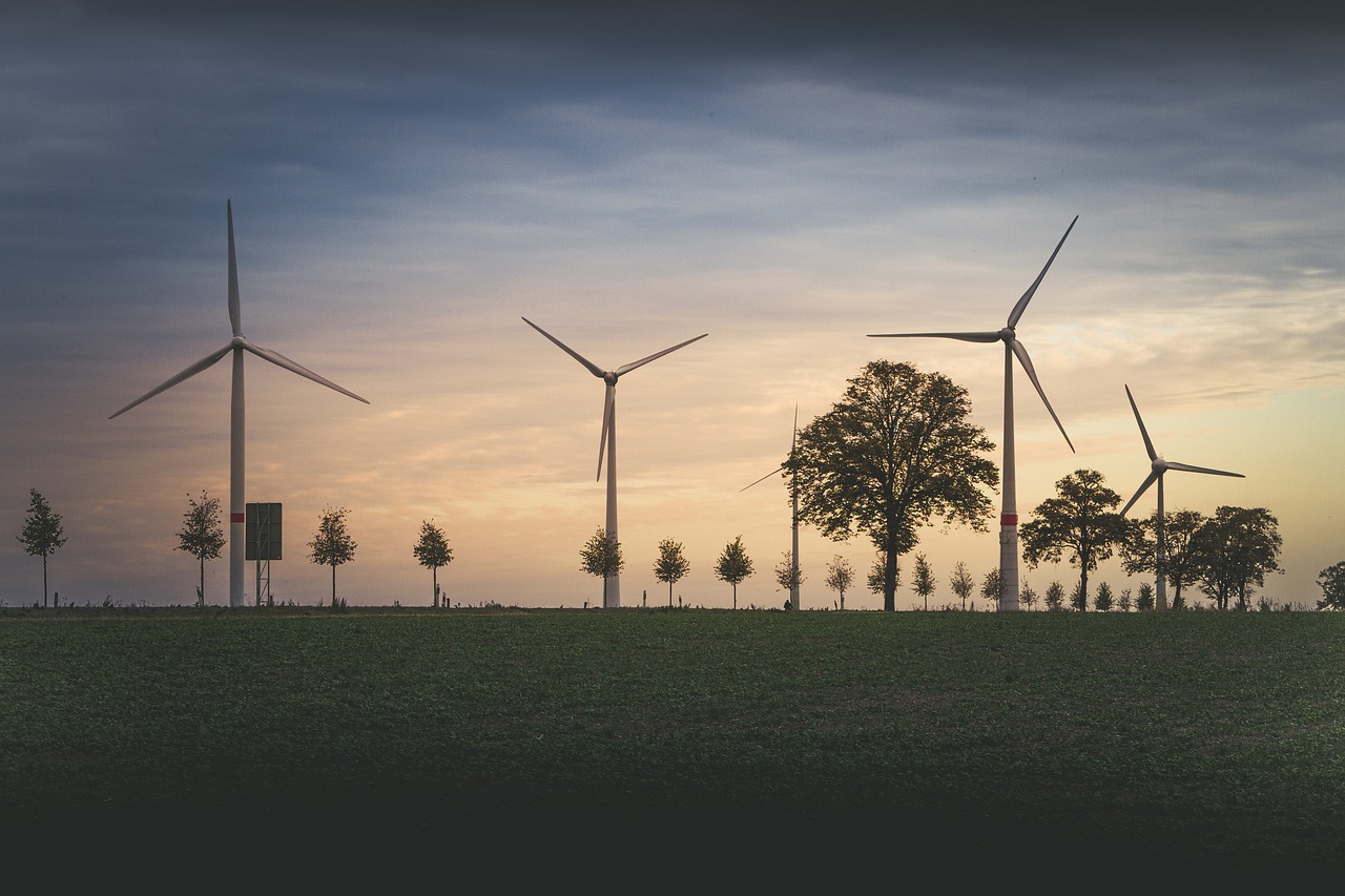 découvrez notre engagement envers l'environnement : des initiatives durables, des pratiques écoresponsables et des projets innovants visant à protéger notre planète pour les générations futures.