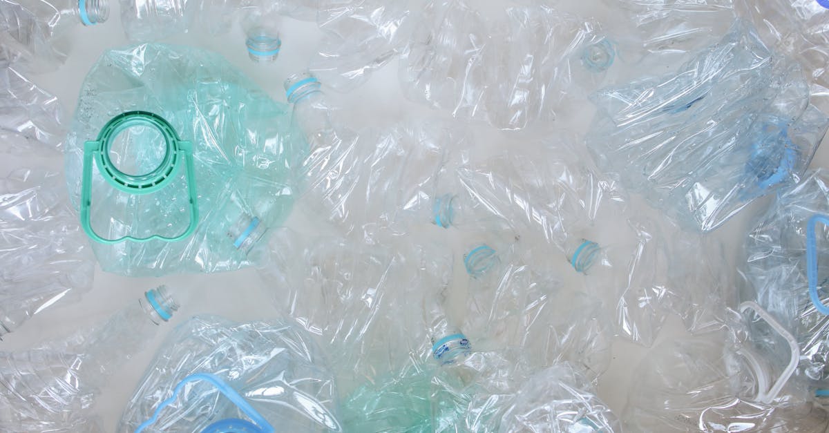découvrez l'impact des déchets plastiques sur notre environnement et explorez des solutions innovantes pour réduire cette pollution. informez-vous sur les initiatives durables et les comportements écoresponsables pour préserver notre planète.