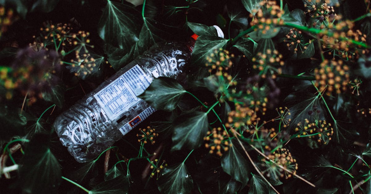 découvrez l'impact croissant des déchets plastiques sur notre environnement et les solutions innovantes pour réduire cette pollution. apprenez comment chaque geste compte dans la lutte pour un monde sans plastique.
