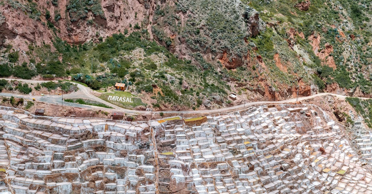 découvrez comment préserver efficacement les ressources naturelles pour un avenir durable. apprenez des stratégies innovantes et des pratiques écoresponsables pour protéger notre environnement tout en répondant aux besoins de la société.