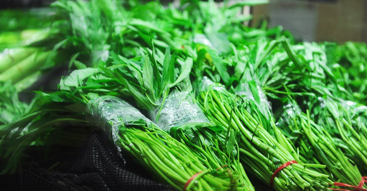 découvrez l'agriculture durable, une approche innovante qui allie respect de l'environnement, pratiques agricoles responsables et production alimentaire. apprenez comment cette méthode favorise la biodiversité et soutient les communautés tout en garantissant des récoltes saines et durables.