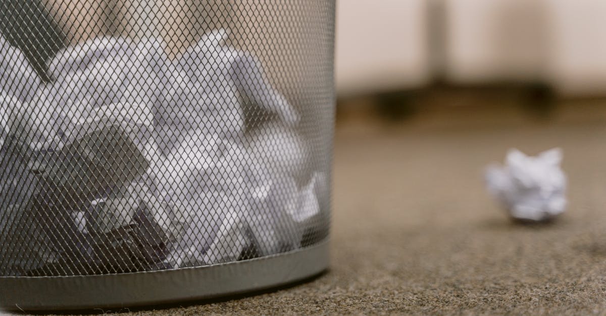 découvrez des pratiques durables essentielles pour préserver notre planète. adoptez des solutions écologiques dans votre vie quotidienne et contribuez à un avenir plus vert grâce à des conseils pratiques et des initiatives responsables.