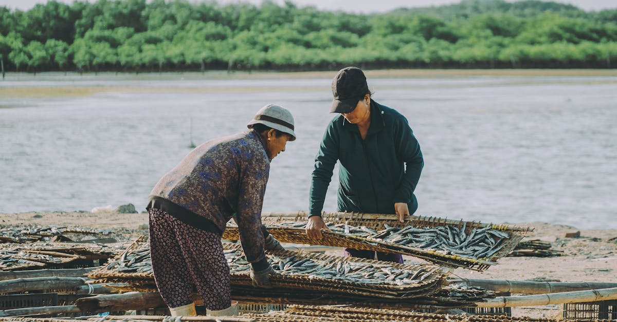 découvrez des pratiques durables pour un avenir plus vert. apprenez comment réduire votre empreinte écologique et adopter des habitudes respectueuses de l'environnement au quotidien.