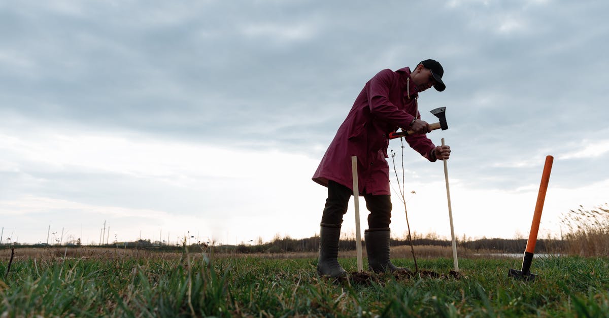 découvrez nos conseils et astuces pour réaliser des économies d'énergie : solutions efficaces, écologiques et économiques pour réduire vos factures tout en préservant l'environnement.