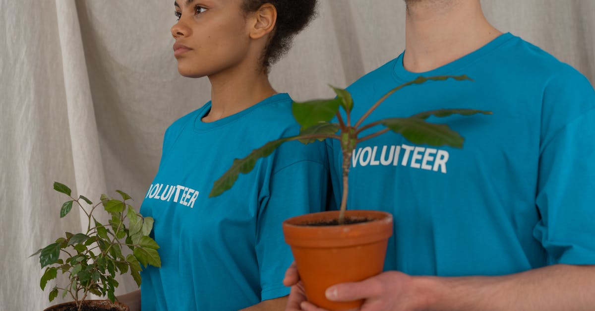 découvrez l'importance de l'action environnementale pour protéger notre planète. engagez-vous à travers des initiatives locales et mondiales qui favorisent la durabilité, la conservation des ressources et la sensibilisation aux enjeux écologiques.