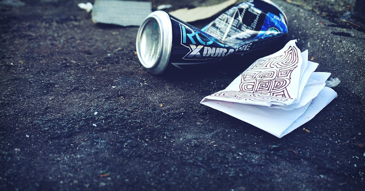 découvrez l'importance de l'activisme environnemental et comment il joue un rôle crucial dans la protection de notre planète. rejoignez le mouvement pour un avenir durable et apprenez des stratégies efficaces pour défendre notre environnement.