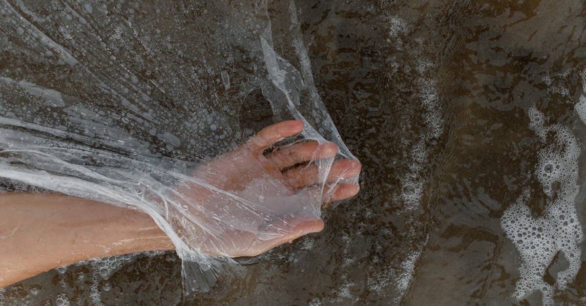 découvrez l'importance de la sensibilisation environnementale et apprenez comment chacun peut contribuer à la protection de notre planète. explorez des conseils pratiques, des initiatives et des ressources pour promouvoir un mode de vie durable et responsable.