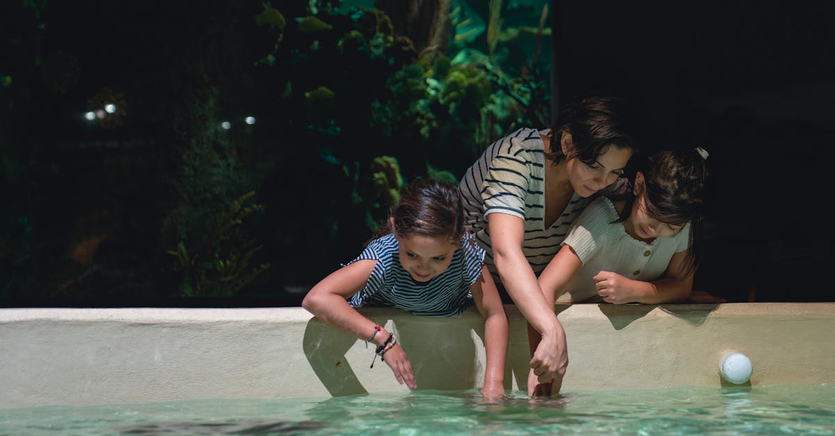 découvrez l'importance de l'éducation environnementale pour sensibiliser les générations futures aux enjeux écologiques. ce guide explore des méthodes innovantes et des ressources pédagogiques pour promouvoir le respect de la planète.