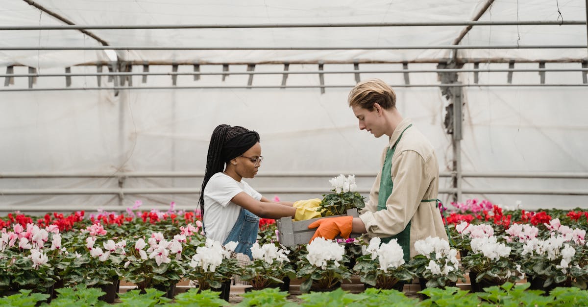découvrez les principes de la durabilité environnementale, un enjeu crucial pour la préservation de notre planète. apprenez comment adopter des pratiques écoresponsables et contribuer à un avenir durable pour les générations futures.