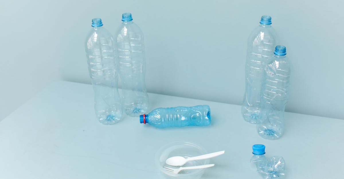 découvrez comment promouvoir la durabilité environnementale à travers des actions concrètes et des modes de vie responsables. explorez des solutions innovantes pour préserver notre planète pour les générations futures.