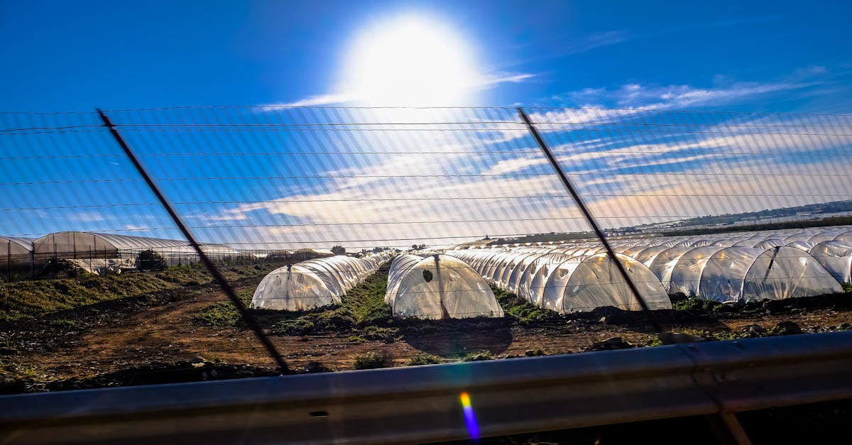 découvrez les enjeux de la durabilité environnementale et explorez des solutions innovantes pour préserver notre planète. engagez-vous pour un avenir plus vert et responsable.