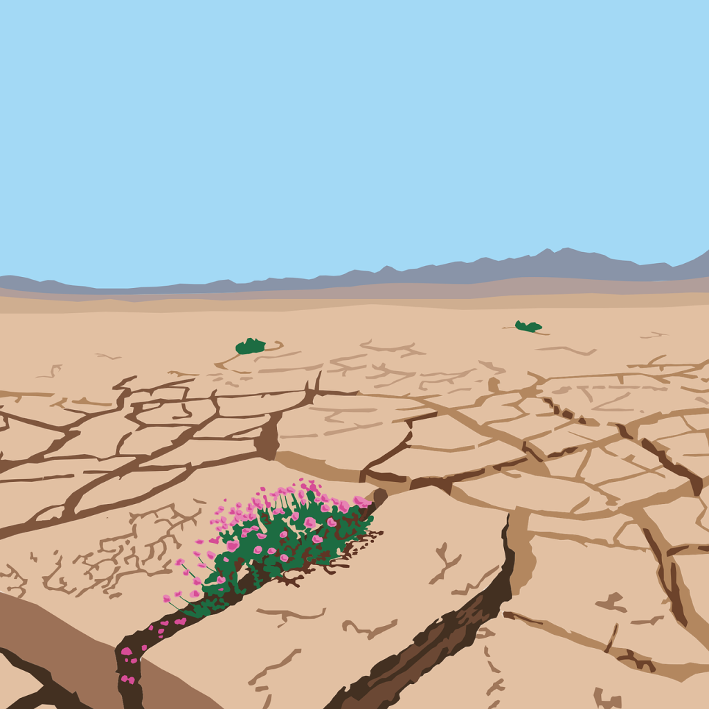 découvrez comment renforcer la résilience climatique et adapter votre environnement face aux changements climatiques grâce à des stratégies innovantes et durables.