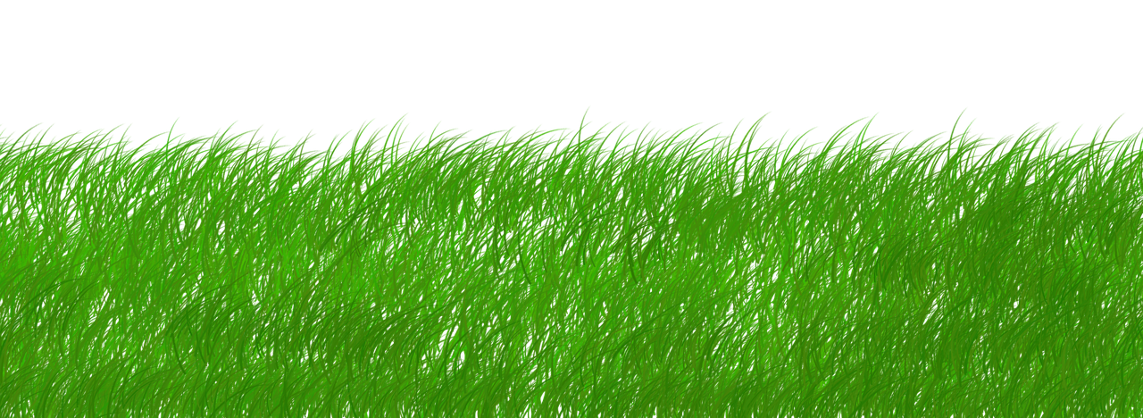 découvrez comment la souveraineté durable permet aux nations et aux organisations de préserver leur autonomie tout en respectant l’environnement et en favorisant un développement responsable.