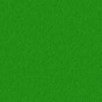 découvrez les principes et actions de l'écologie durable : solutions pour préserver l'environnement, adopter des pratiques responsables et assurer un avenir plus vert.