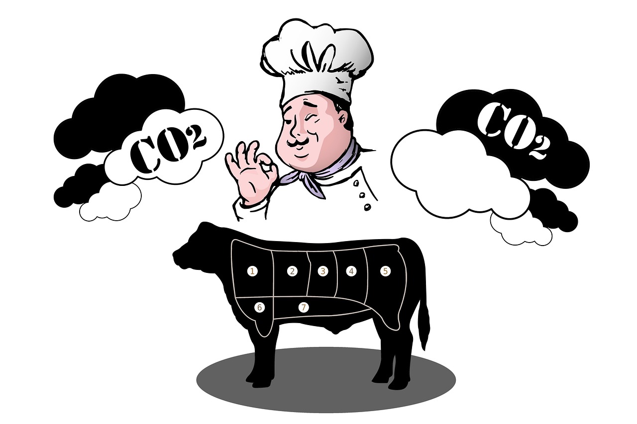 découvrez ce qu'est l'empreinte carbone, son importance pour l'environnement, et des conseils pratiques pour la réduire dans votre quotidien, à la maison comme au travail.