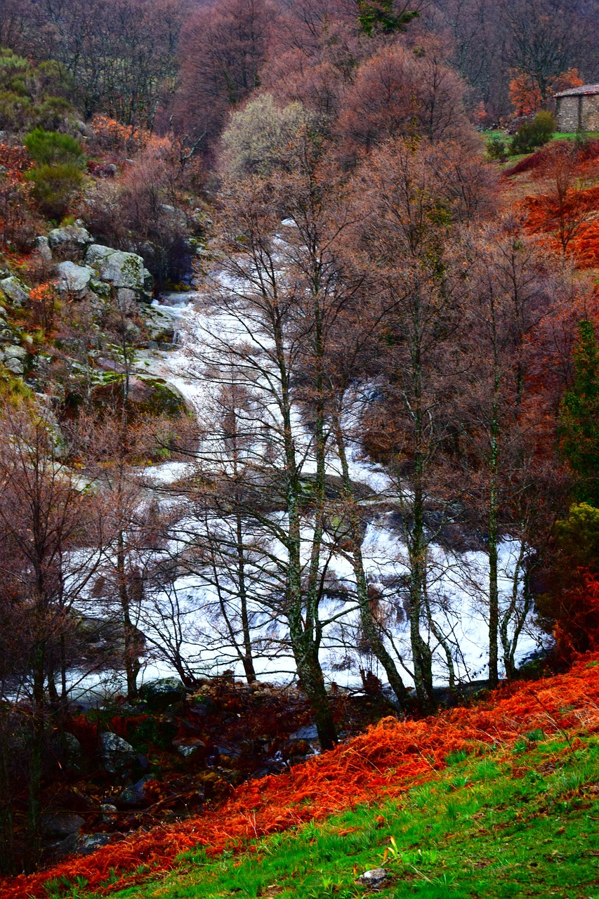 découvrez le concept de green it : adopter des technologies informatiques durables et respectueuses de l’environnement pour réduire l’empreinte carbone et optimiser l’efficacité énergétique.