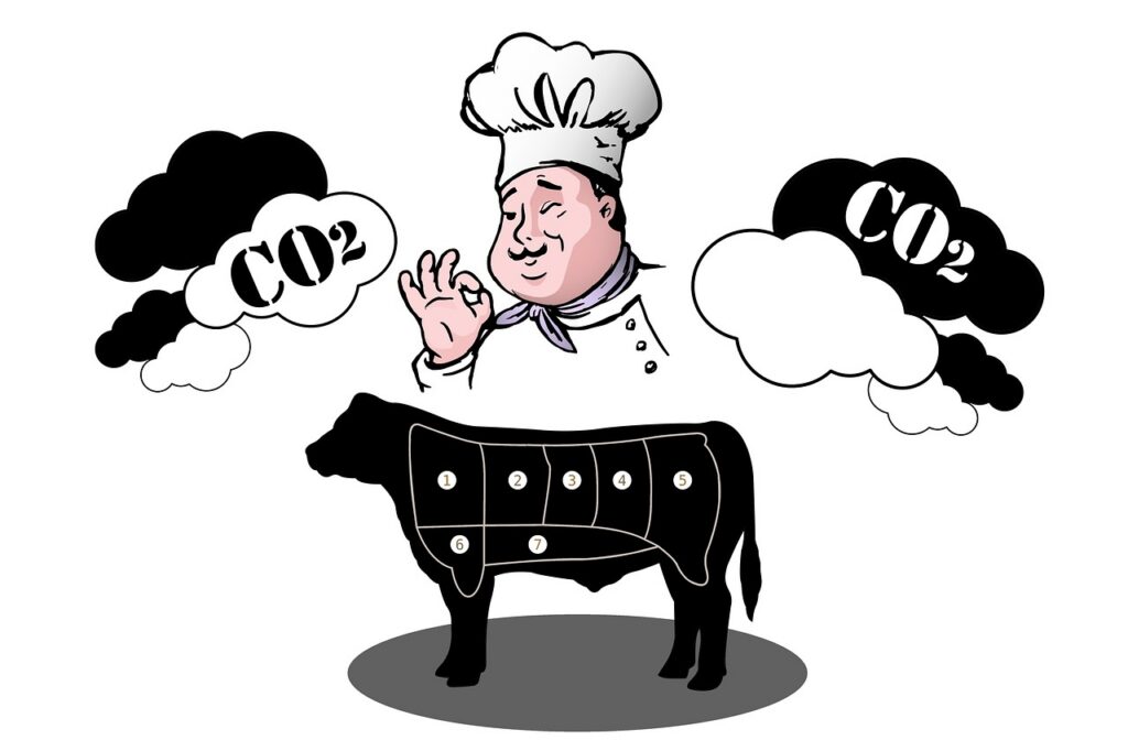 réduisez votre empreinte carbone grâce à des conseils pratiques et des solutions durables pour préserver l'environnement et lutter contre le changement climatique.